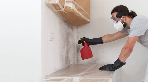 Professional Basement Mold Remediation technician working in Wynnewood, PA