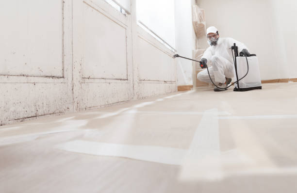 24/7 Emergency Basement Mold Remediation experts in Wynnewood, PA